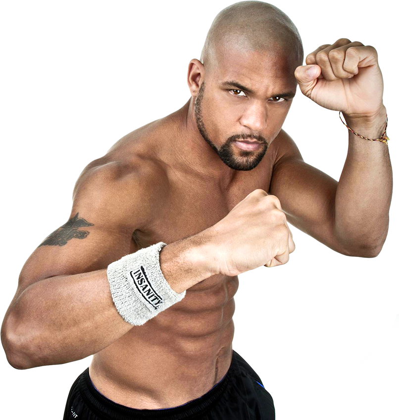 Xbox Fitness Shaun T Model Image